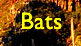 Bats